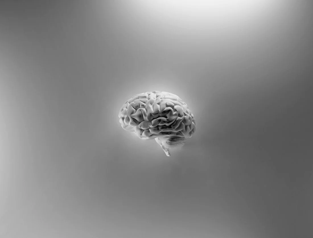 A three-dimensional brain in monochrome